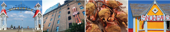 Baltimore summer: snowcones, baseball, crabs and the beach